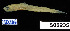  ( - FWRI 01401)  @11 [ ] CreativeCommons - Attribution Non-Commercial Share-Alike (2017) Unspecified Fish and Wildlife Research Institute
