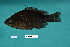  ( - FWRI_5019)  @11 [ ] by-nc-sa (2023) Fish and Wildlife Conservation Commission Fish and Wildlife Research Institute