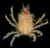  ( - FBAR-0211)  @11 [ ] CreativeCommons - Attribution Non-Commercial Share-Alike (2017) Unspecified Fish and Wildlife Research Institute