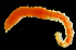  ( - FBAR-0251)  @11 [ ] CreativeCommons - Attribution Non-Commercial Share-Alike (2017) Unspecified Fish and Wildlife Research Institute