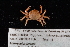  ( - FSBCI116470)  @11 [ ] CreativeCommons - Attribution Non-Commercial Share-Alike (2017) Unspecified Fish and Wildlife Research Institute