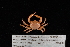  ( - FSBCI127803)  @11 [ ] CreativeCommons - Attribution Non-Commercial Share-Alike (2017) Unspecified Fish and Wildlife Research Institute