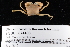 ( - FSBCI74403)  @11 [ ] CreativeCommons - Attribution Non-Commercial Share-Alike (2017) Unspecified Fish and Wildlife Research Institute