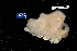  ( - FWRI_I_1648)  @11 [ ] by-nc-sa (2018) Fish and Wildlife Conservation Commission Florida Biodiversity Collection at the Florida Fish and Wildlife Research Institute