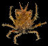  ( - SMPA-0149)  @11 [ ] CreativeCommons - Attribution Non-Commercial Share-Alike (2017) Unspecified Fish and Wildlife Research Institute