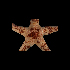  (Narcissia trigonaria - SMPA-0159)  @11 [ ] CreativeCommons - Attribution Non-Commercial Share-Alike (2017) Unspecified Fish and Wildlife Research Institute
