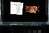  ( - FWRI I 00877)  @11 [ ] CreativeCommons - Attribution Non-Commercial Share-Alike (2019) Unspecified Fish and Wildlife Research Institute
