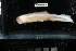  ( - FWRI I 01103)  @11 [ ] CreativeCommons - Attribution Non-Commercial Share-Alike (2019) Unspecified Fish and Wildlife Research Institute