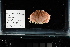  (Cryptosoma - FWRI I 00894)  @11 [ ] CreativeCommons - Attribution Non-Commercial Share-Alike (2019) Unspecified Fish and Wildlife Research Institute