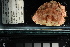  ( - FWRI I 00950)  @11 [ ] CreativeCommons - Attribution Non-Commercial Share-Alike (2019) Unspecified Fish and Wildlife Research Institute