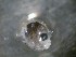  ( - 09COIFishA7)  @12 [ ] No Rights Reserved (2014) Unspecified UH Biology