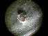  ( - 09CoIFishB1)  @12 [ ] No Rights Reserved (2014) Unspecified UH Biology