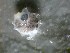  ( - 09CoIFishB7)  @12 [ ] No Rights Reserved (2014) Unspecified UH Biology
