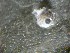  ( - 09CoIFishC13)  @12 [ ] No Rights Reserved (2014) Unspecified UH Biology