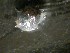  ( - 09CoIFishC7)  @12 [ ] No Rights Reserved (2014) Unspecified UH Biology
