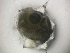  ( - 10COIFishC05)  @12 [ ] No Rights Reserved (2014) Unspecified UH Biology