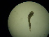  ( - 12COIFishA47)  @12 [ ] No Rights Reserved (2014) Unspecified UH Biology