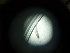  ( - 12COIFishC24)  @11 [ ] No Rights Reserved (2014) Unspecified UH Biology