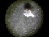  ( - 09COIFishA19)  @12 [ ] Unspecified (default): All Rights Reserved  Unspecified Unspecified