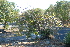  ( - BS0118)  @11 [ ] CreativeCommons - Attribution Non-Commercial Share-Alike (2011) Olivier Maurin University of Johannesburg