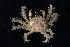  ( - FTP_0276)  @14 [ ] CreativeCommons - Attribution Non-Commercial Share-Alike (2014) Matthieu Leray Smithsonian Institution