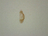  ( - D.IN.1.P.L45W.1)  @11 [ ] Copyright (2010) Unspecified Environment Canada