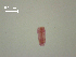  ( - D.IN.1.P.L45W.4)  @11 [ ] Copyright (2010) Unspecified Environment Canada