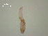 ( - D.IN.1.P.L45W.V43)  @11 [ ] Copyright (2010) Unspecified Environment Canada