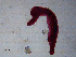  ( - Ev.IN.Arg.OLP6.3)  @12 [ ] CreativeCommons - Attribution Share-Alike (2013) Sean Locke Unspecified