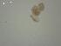  ( - I.BC.2.G.15.3)  @12 [ ] Copyright (2010) Unspecified Environment Canada