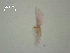  ( - P.LIN.IH.Arhe1.7)  @12 [ ] Copyright (2010) Unspecified Environment Canada