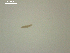  ( - T.RH.Sf.RBI.3.1)  @11 [ ] Copyright (2010) S Locke 2010 Environment Canada