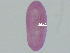  (Tylodelphys sp. 5 - T.BR.Vent.1.4)  @12 [ ] CreativeCommons - Attribution Share-Alike (2014) Sean Locke Unspecified