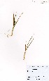  ( - MarIsl19)  @11 [ ] No Rights Reserved  Unspecified Unspecified