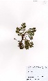  ( - MarIsl20)  @11 [ ] No Rights Reserved  Unspecified Unspecified