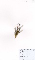  ( - MarIsl23)  @11 [ ] No Rights Reserved  Unspecified Unspecified