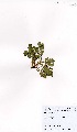  ( - MarIsl34)  @11 [ ] No Rights Reserved  Unspecified Unspecified