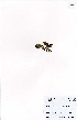  ( - MarIsl52)  @11 [ ] No Rights Reserved  Unspecified Unspecified