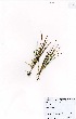 ( - MarIsl53)  @11 [ ] No Rights Reserved  Unspecified Unspecified