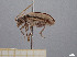  ( - FMNHINS4430752)  @11 [ ] CC BY-NC 4.0 (2013) Field Museum of Natural History Unspecified