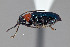  ( - FMNHINS4573316)  @11 [ ] CC BY-NC 4.0 (2013) Field Museum of Natural History Unspecified