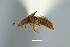  ( - FMNHINS4573345)  @11 [ ] CC BY-NC 4.0 (2013) Field Museum of Natural History Unspecified