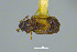  ( - FMNHINS4573347)  @11 [ ] CC BY-NC 4.0 (2013) Field Museum of Natural History Unspecified