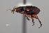  ( - FMNHINS4573386)  @11 [ ] CC BY-NC 4.0 (2013) Field Museum of Natural History Unspecified