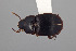  ( - FMNHINS4573389)  @11 [ ] CC BY-NC 4.0 (2013) Field Museum of Natural History Unspecified