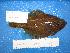  ( - UW047661)  @12 [ ] Unspecified (default): All Rights Reserved  Unspecified Unspecified
