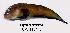  ( - UW112145)  @11 [ ] Unspecified (default): All Rights Reserved  Unspecified Unspecified