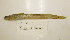  ( - UW150577)  @12 [ ] Unspecified (default): All Rights Reserved  Unspecified Unspecified