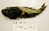  ( - UW150583)  @12 [ ] Unspecified (default): All Rights Reserved  Unspecified Unspecified