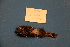  ( - UW153316)  @11 [ ] Unspecified  Unspecified default Unspecified